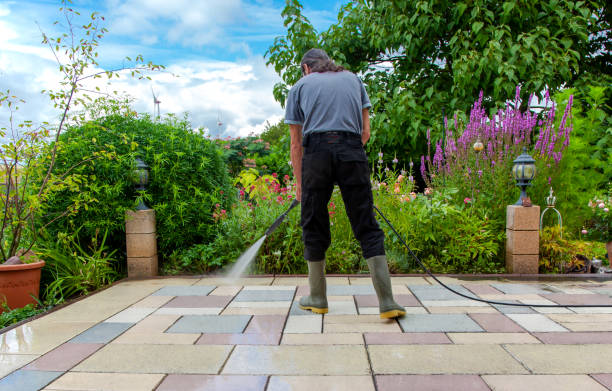 Best Soft Washing for Delicate Surfaces in Del Rio, CA